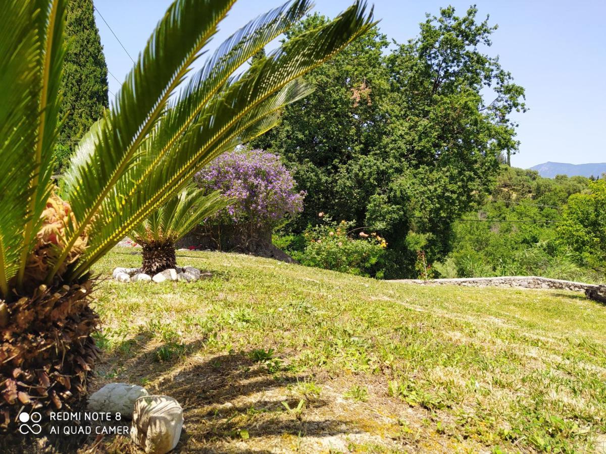 Corfu Villa Galini Potamos  Bagian luar foto
