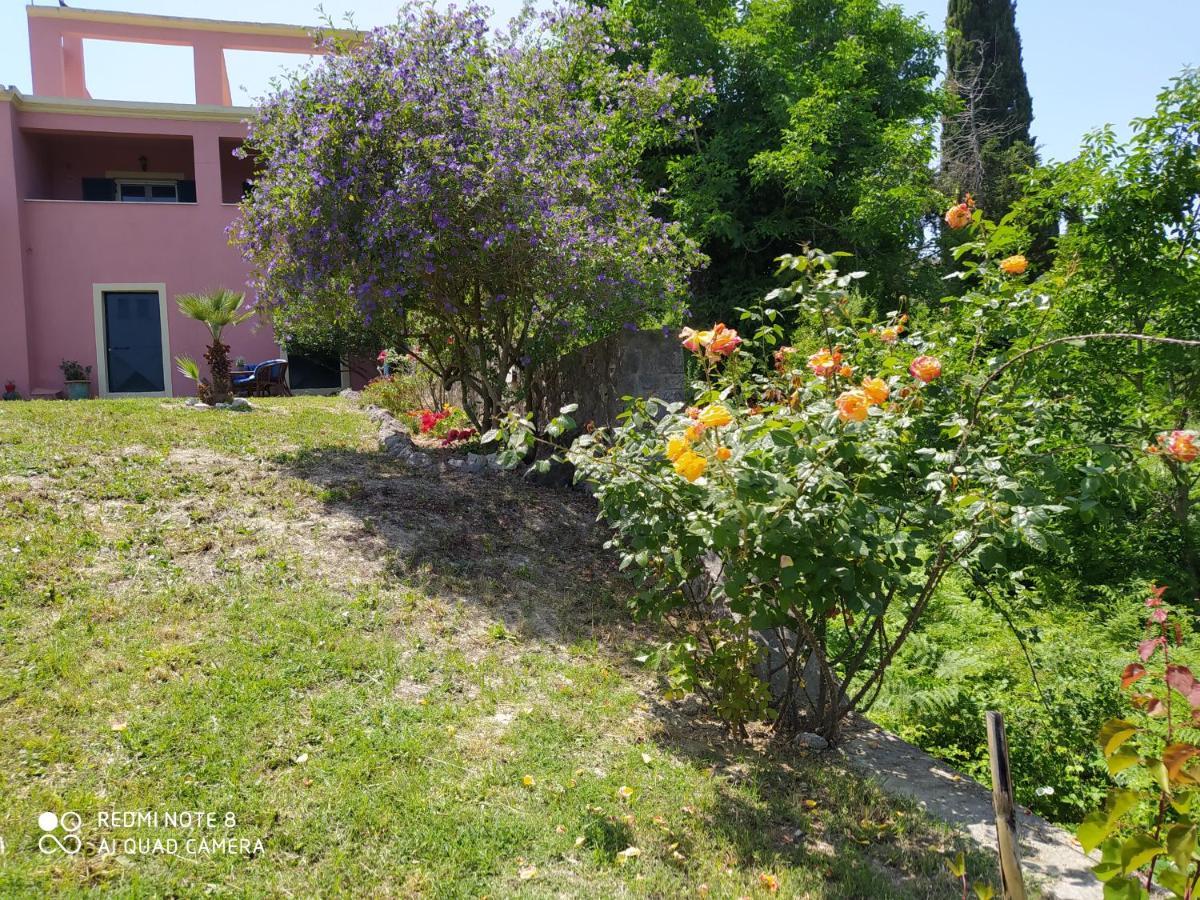 Corfu Villa Galini Potamos  Bagian luar foto
